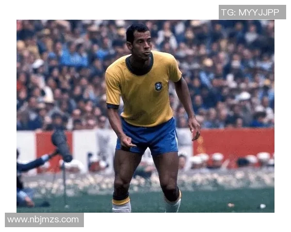 巴西足球历史十大传奇球星的辉煌足迹与影响力解析